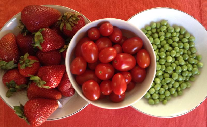 Source: Teresa Morris